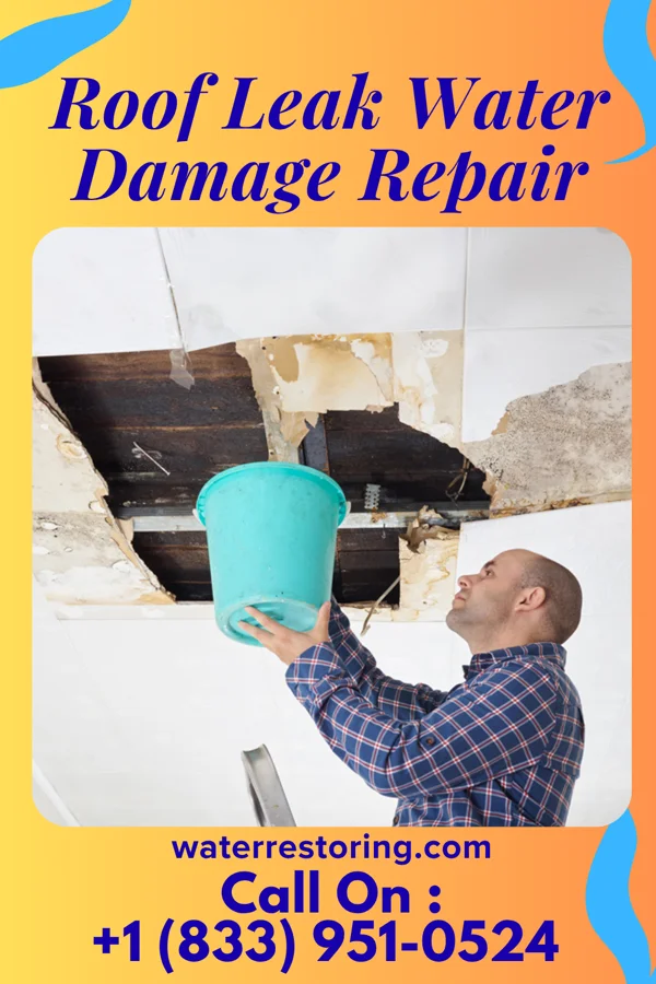 Roof Leak Water Damage Repair in Maywood, NE