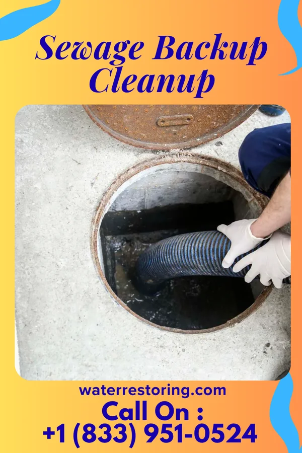 Sewage Backup Cleanup in Maywood, NE